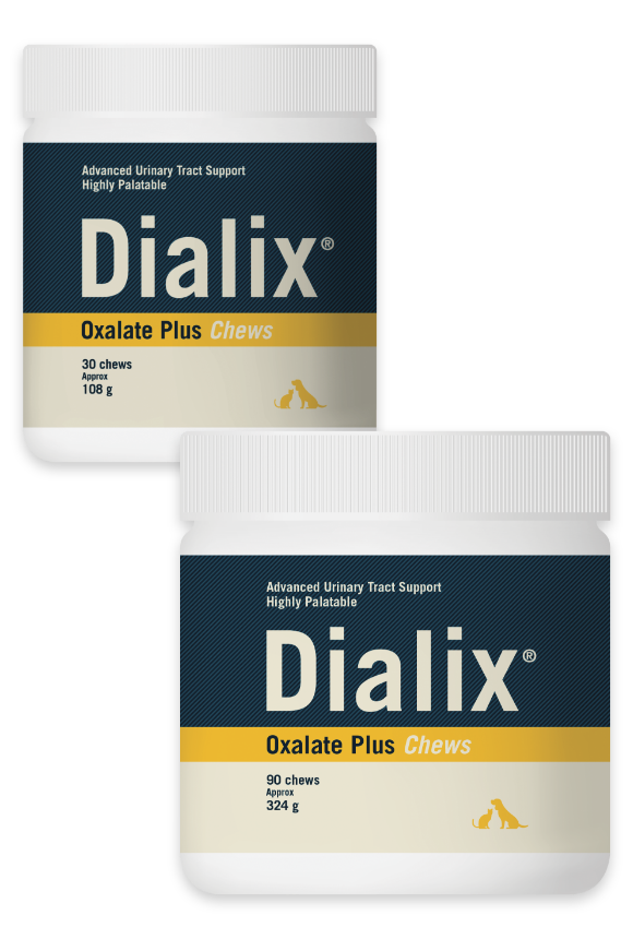 Dialix Bladder