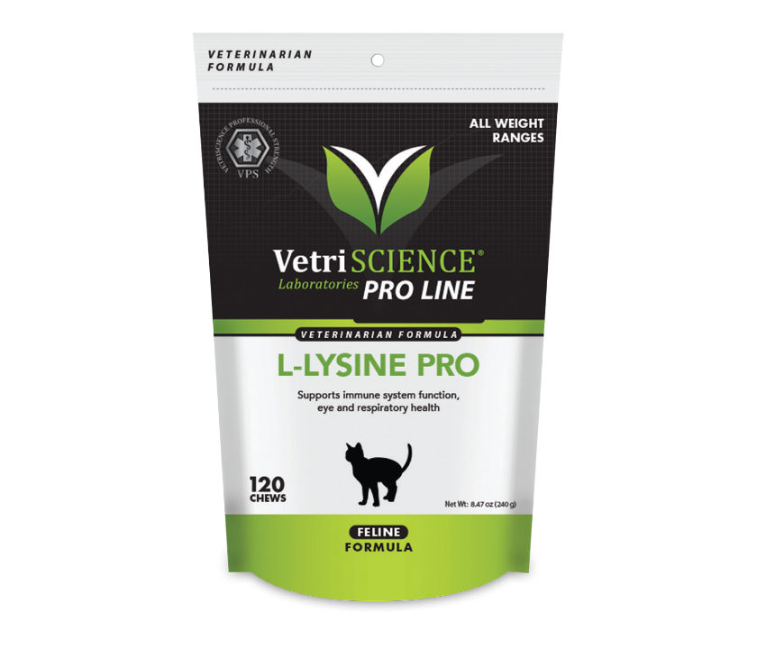 L-Lysine Pro