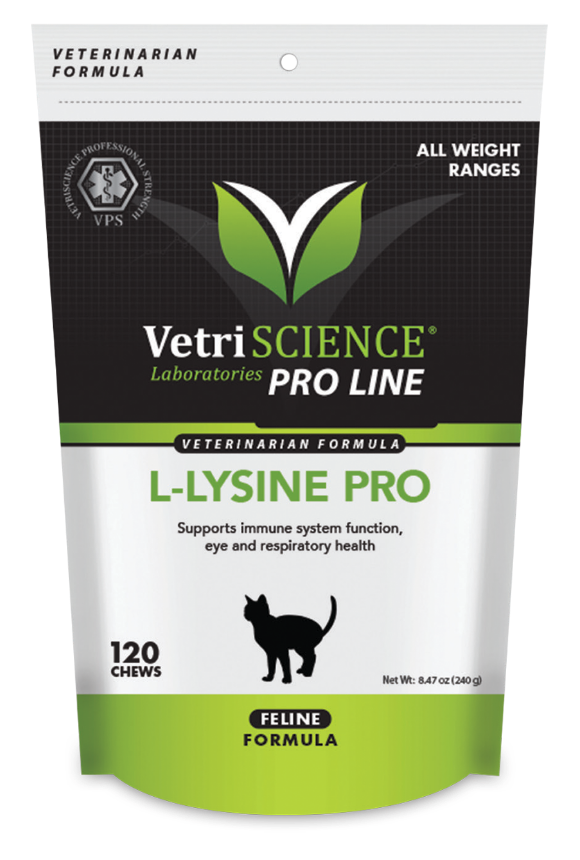 L-Lysine Pro