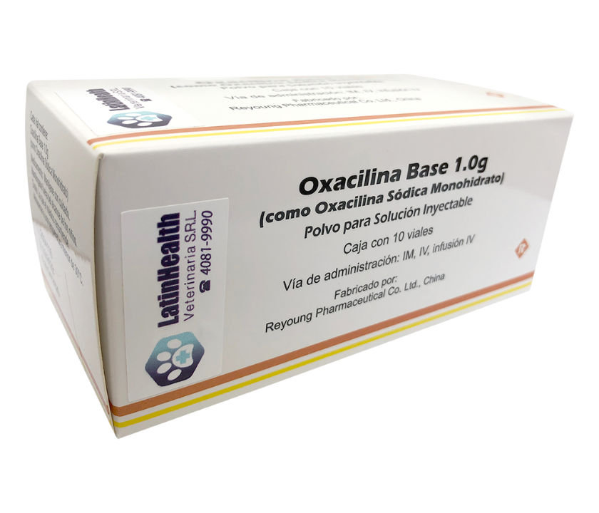 Oxacilina Base 1.0g
