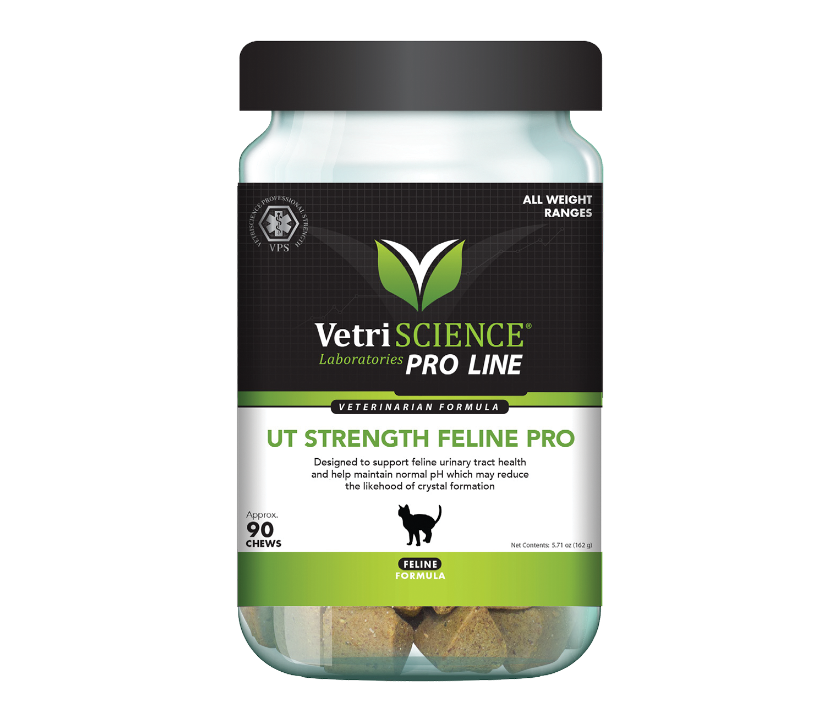 UT Strength Pro Feline