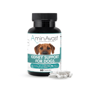 AminAvast Canino 1000mg. 60 Capsulas