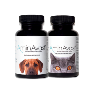 AminAvast Canino y Felino 300mg. 60 Capsulas